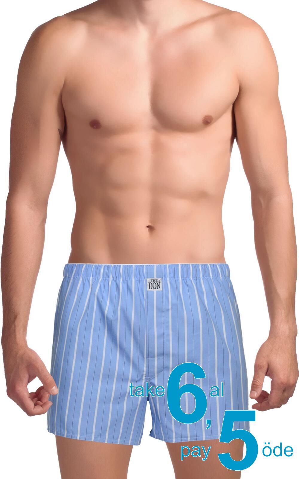The DON Poplin Erkek Boxer Serin Mavi Çizgili