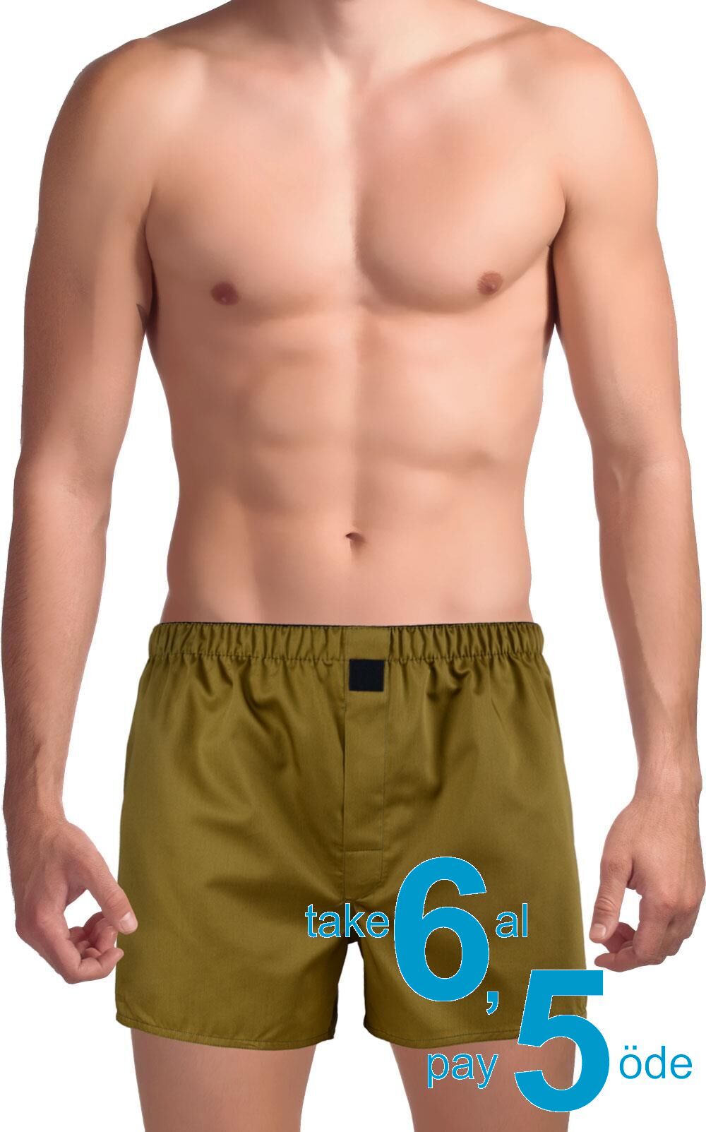 The DON Poplin Erkek Boxer Kına Yeşili
