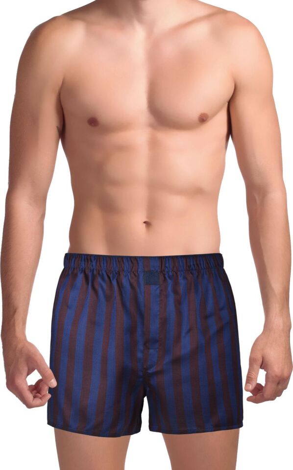 The DON Poplin Erkek Boxer Bordo Akşam