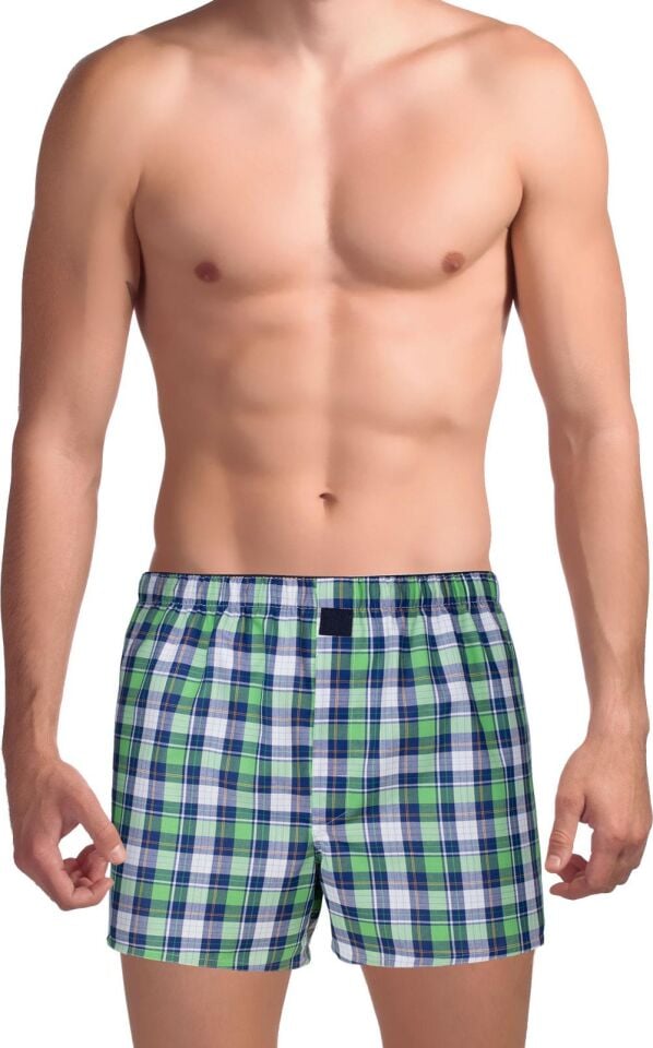 The DON Poplin Erkek Boxer Sera Yeşili Ekose
