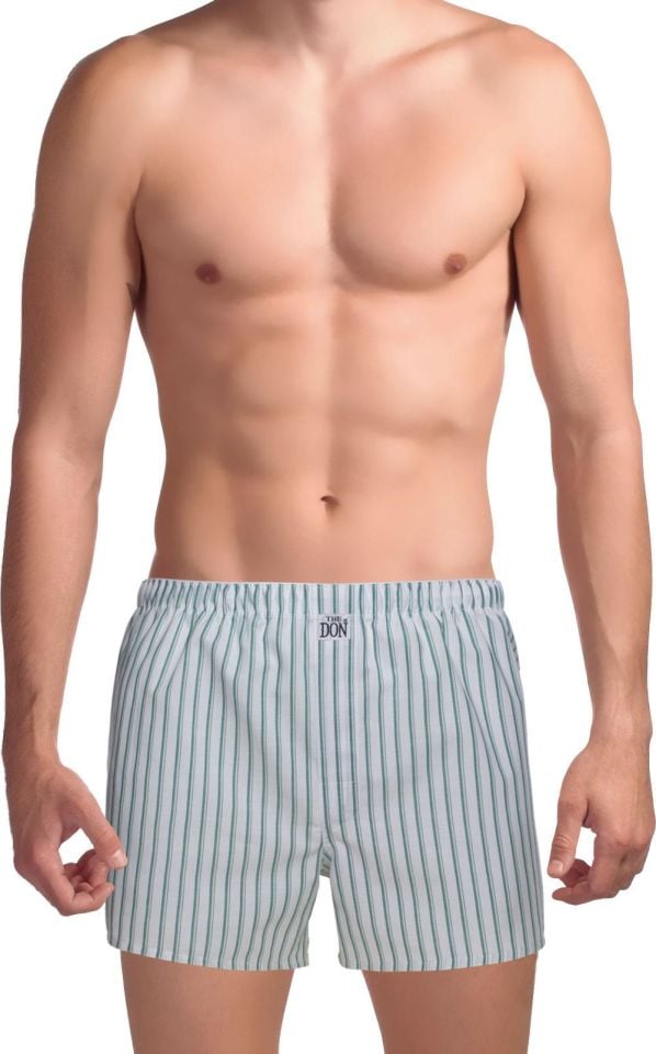The DON Poplin Erkek Boxer Yaprak Yeşili Çizgili