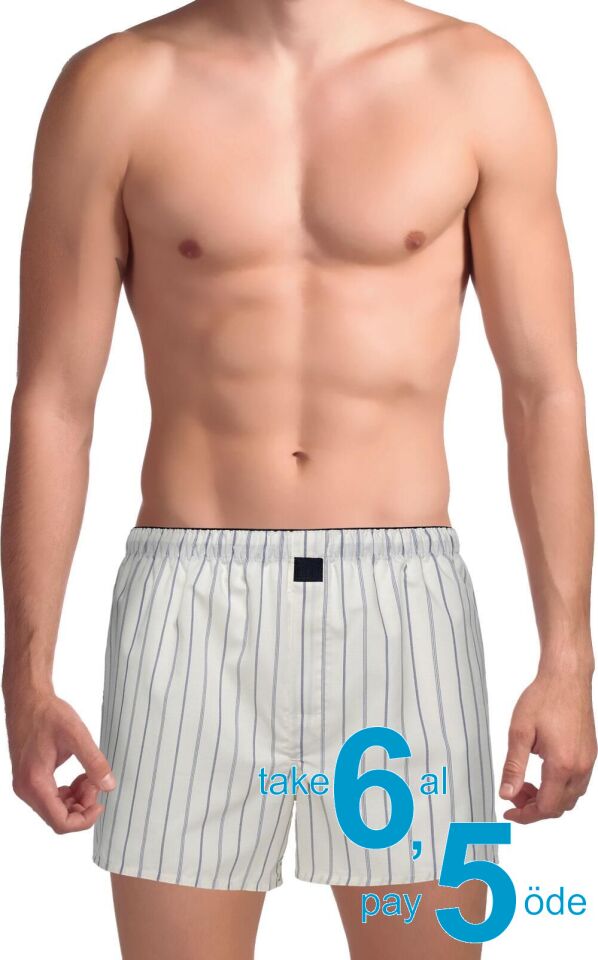 The DON Poplin Erkek Boxer Kırık Beyaz Çizgili