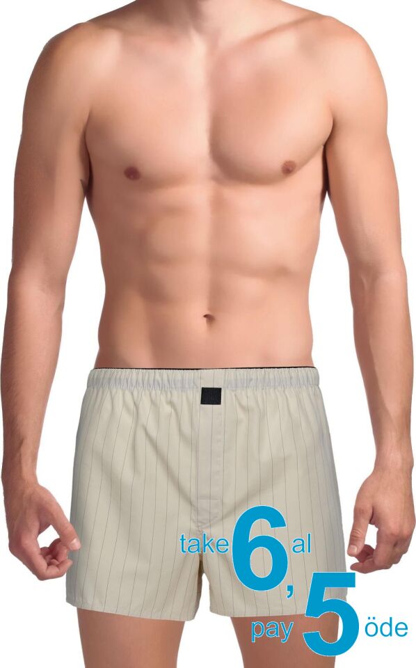 The DON Poplin Erkek Boxer Koyu Krem Çizgili