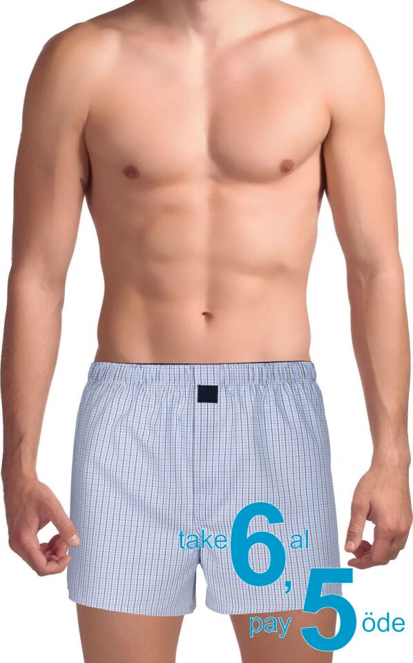 The DON Poplin Erkek Boxer Ege Mavisi Ekose