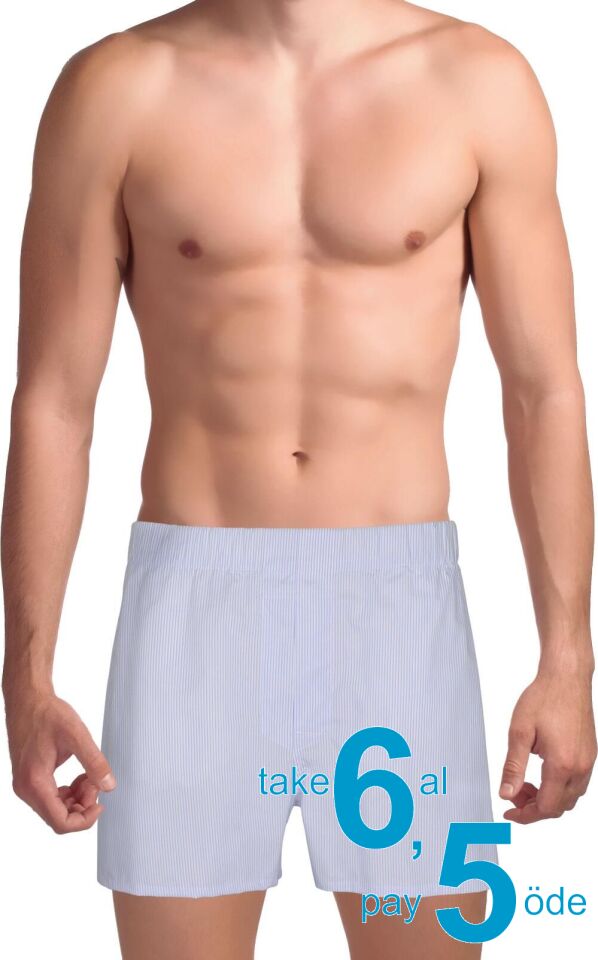 The DON Exclusive Yırtmaçlı Erkek Boxer Açık Mavi Çizgili