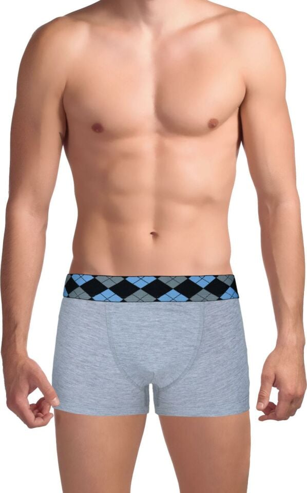 The DON Innovative Süprem Erkek Trunk Boxer A.Gri