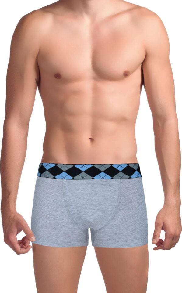 The DON Innovative Süprem Erkek Trunk Boxer A.Gri