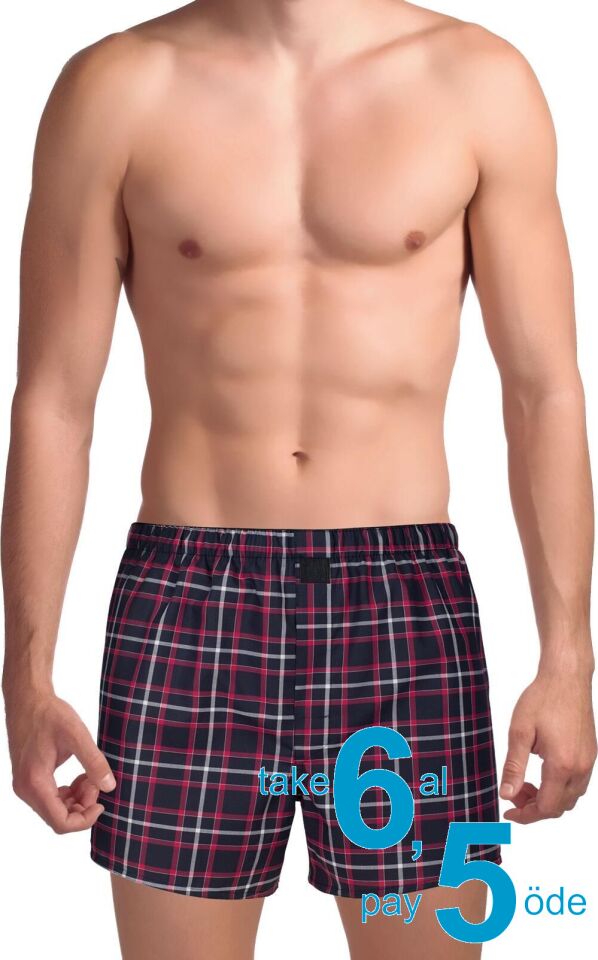 The DON Poplin Erkek Boxer Granada Ekose